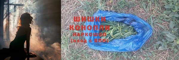 ПСИЛОЦИБИНОВЫЕ ГРИБЫ Аркадак