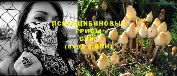 винт Армянск