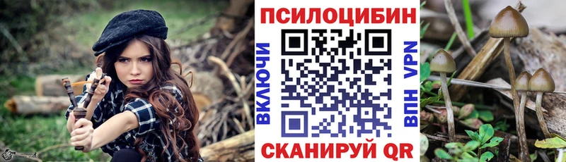 Псилоцибиновые грибы мицелий  Голицыно 